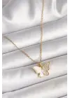 316L Çelik Gold Renk Zincir Zirkon Taşlı Beyaz Mineli Kelebek Model Kadın Kolye