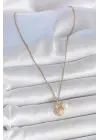 316L Çelik Gold Renk Zincir Zirkon Taşlı Deniz Kabuğu Model İnci Detay Kadın Kolye