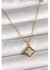 316L Çelik Gold Renk Zincir Zirkon Taşlı Yonca Model Kadın Kolye