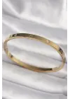 316L Çelik Gold Renk Zirkon Taşlı Cartier Model Kadın Bilezik