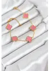 316L Çelik Gold Zincir Pembe Yonca Renk Bileklik