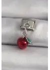 316L Çelik Gümüş Renk Sallantı Kırmızı Elma Model Nomination Charm