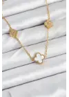 316L Çelik Zincir Gold Renk Beyaz ve Zirkon Taşlı Yonca Kadın Kolye