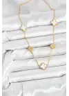 316L Çelik Zincir Gold Renk Beyaz ve Zirkon Taşlı Yonca Kadın Kolye