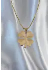  Zincir Altın  Burgu Zincirli Yonca Çelik Kolye