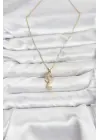 316L Çelik Zincir Gold Renk Deniz Atı Model Zirkon Taşlı Kadın Kolye