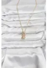 316L Çelik Zincir Gold Renk Teddy Bear Model Zirkon Taşlı Kadın Kolye