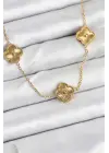 316L Çelik Zincir Gold Renk Yonca Kadın Kolye