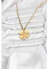 316L Çelik Zincir Gold Renk Yonca Model 60 cm Kadın Kolye