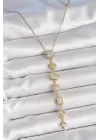 316L Çelik Zincir Gold Renk Zirkon Taşlı Y Kolye