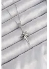  Zincir Gümüş  Zirkon Taşlı Kutup Yıldızı Çelik Kolye