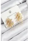 316L Çelik Zirkon Taşlı Aurora Işıltı Model Gold Renk Kadın Küpe