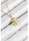 316L Çelik Zirkon Taşlı Kutup Yıldızı Model Gold Renk Kadın Kolye