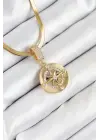 316L Çelik Zirkon Taşlı Pusula Model Gold Renk Kadın Kolye