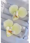 Açık Sarı Renk İnci Detay Orkide Çiçeği Küpe