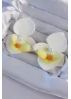 Beyaz Renk İnci Detay Orkide Çiçeği Küpe