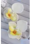 Beyaz Renk İnci Detay Orkide Çiçeği Küpe