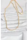 CM 14K Gold Renk Halka Zincir Model 60 cm Kadın Kolye