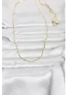 CM 14K Gold Renk İnce Kare Zincirli Model 60 cm Kadın Kolye