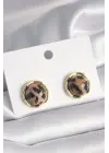  Altın Daire Kaplan Deseni Model Çelik Küpe