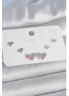 Pirinç Gümüş Renk Pembe Zirkon Taşlı Kalp Model 925 Ayar Gümüş Çivi Kadın Küpe Seti