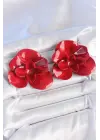 Pirinç Kırmızı Renk Gül Model Kadın Küpe