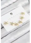 Pirinç Zirkon Taşlı Deniz Yıldızı Model Gold Renk 925 Ayar Gümüş Çivi Kadın Küpe Set