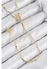 Pirinç Zirkon Taşlı Ezme Zincirli Kutup Yıldızı Model Gold Renk Y Kolye