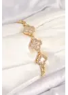 Pirinç Zirkon Taşlı Yonca Model Gold Renk Kadın Bileklik