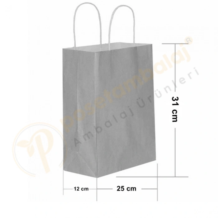 Gümüş Kraft Çanta Orta Boy 25x12x31 cm 25 Adet