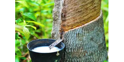 Lateks Balonların Tarihçesi