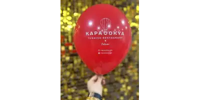 Logo Baskılı Balon