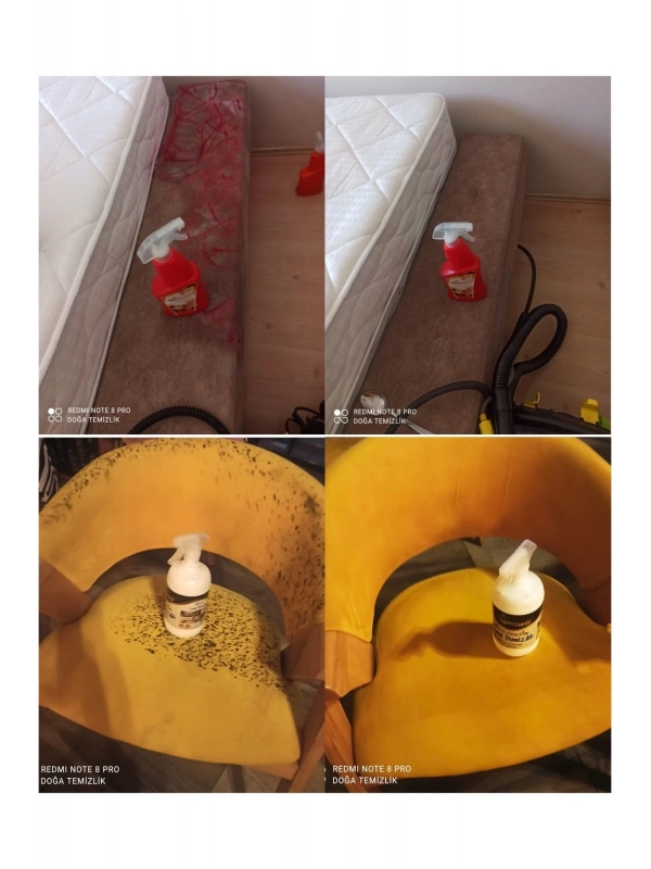 Begonwil Çok Amaçlı Genel Temizlik Detarjanı