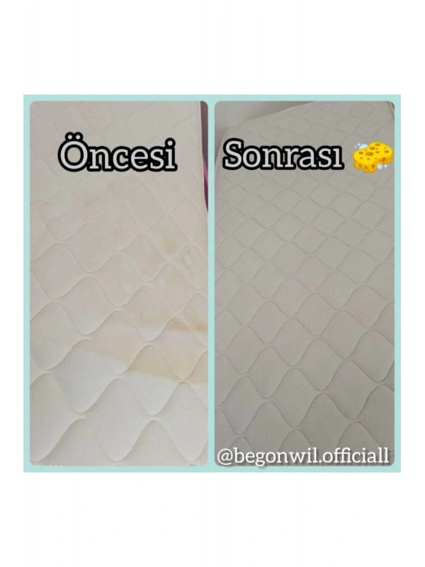 Begonwil Konsantre Koltuk Şampuanı 5 Litre