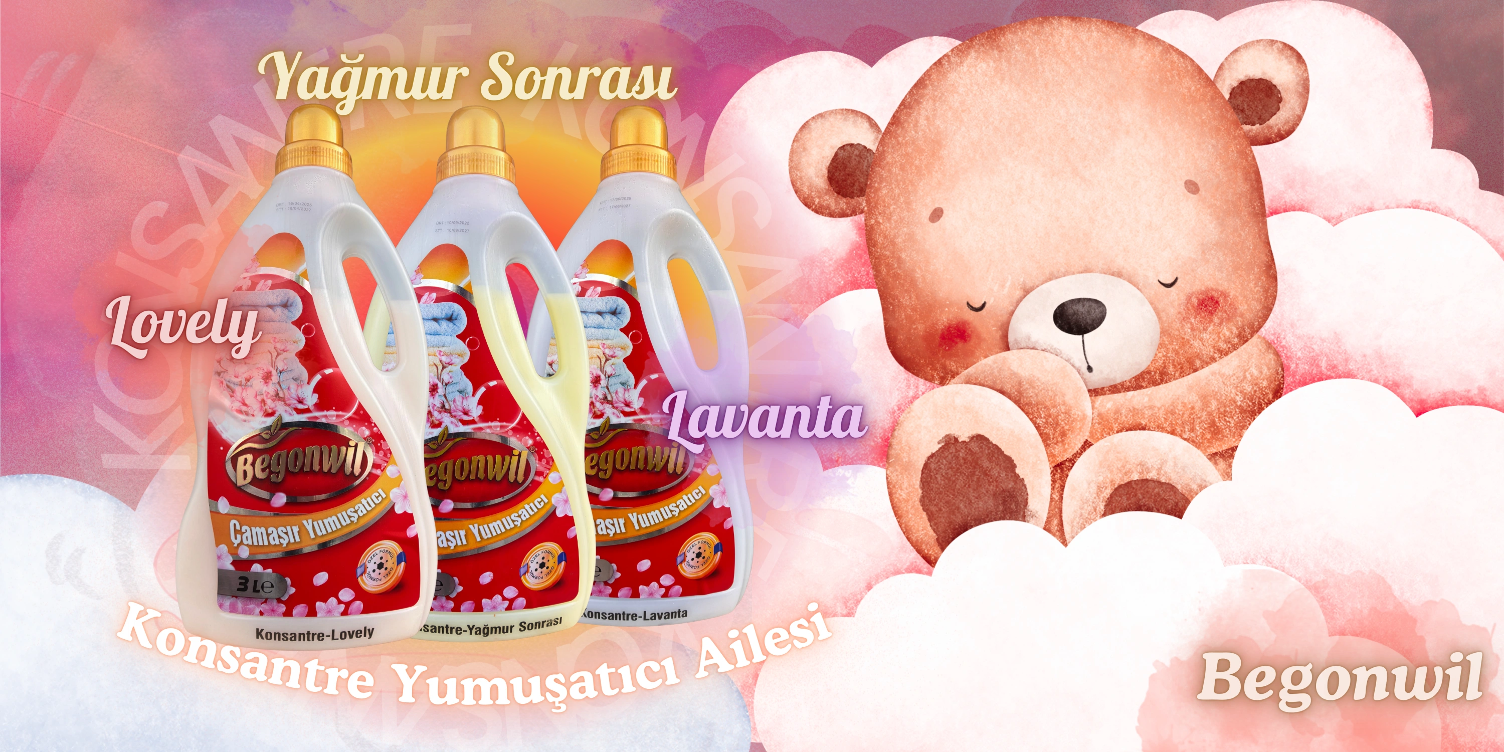 BEGONWİL KONSANTRE YUMUŞATICI AİLESİ