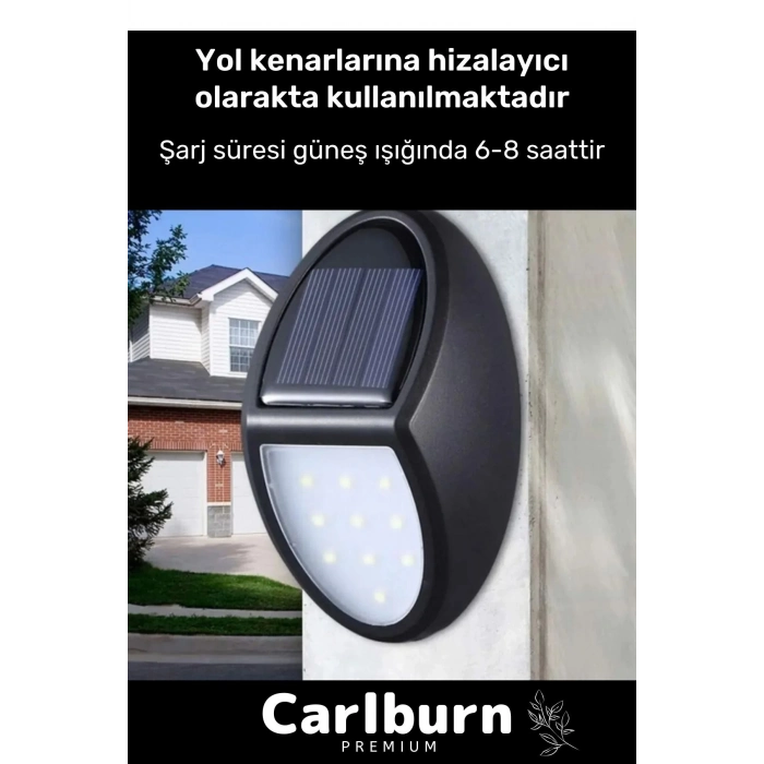Özel Premium Açma Kapama Tuşlu Solar Su Geçirmez Oval Duvara Monteli 10 Ledli Bahçe Lambası 1 Adet