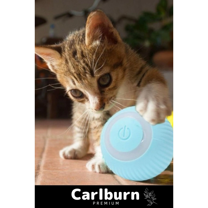 Deluxe Uzun Süre Dayanıklı Silikon 3 Modlu Otomatik Kumandalı İnteraktif Kedi Köpek Şarjlı Oyun Topu