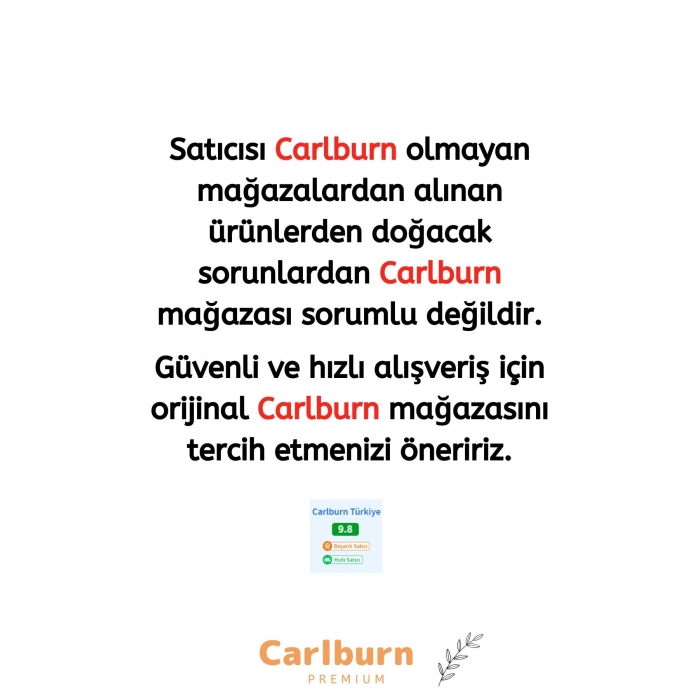 Özel Üretim Zamanlayıcı Uzaktan Kumandalı Pilli Yıldız Samanyolu Astronot Galaksi Projeksiyon Lamba