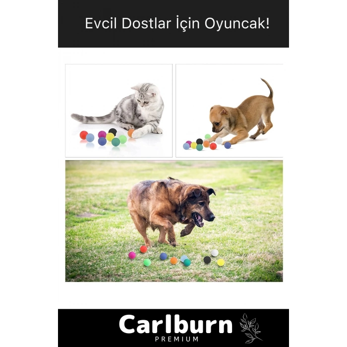 Premium Seri Çantalı Kaliteli Masa Tenisi Etkinlik 60 Adet Beyaz Canlı Pinpon Topu