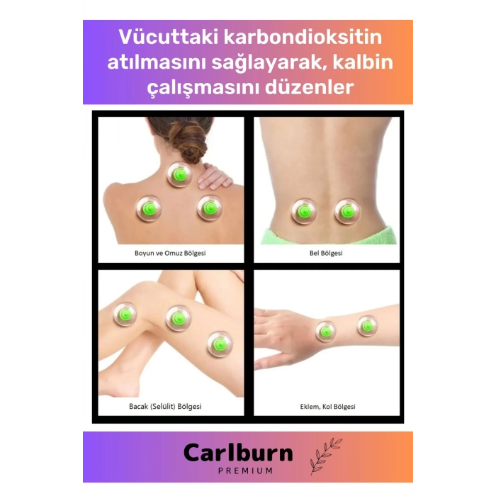 Premium Series Selülit Çatlak Giderici Vakumlu Masaj Aleti 24lü Kupa Hacamat Seti