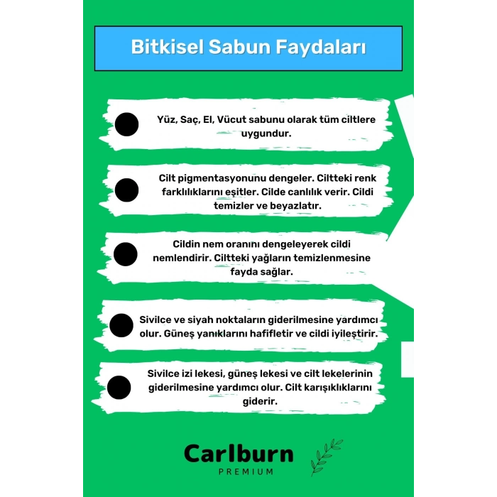 Özel %100 Doğal Defne Yaprağı Sabunu Organik Zeytinyağlı Defne Yapraklı Saç El Cilt Sabun 3lü Set