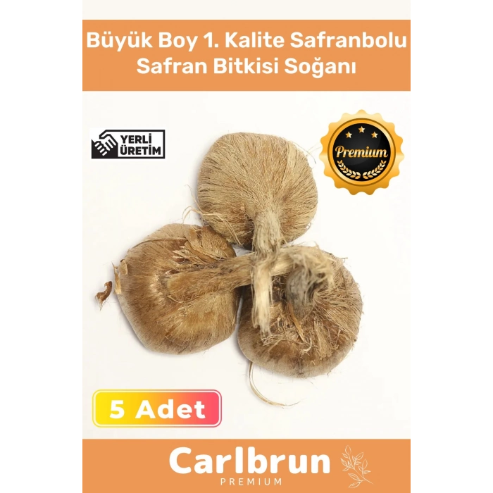 Premium Özel Dikime Hazır Yerli Üretim Büyük Boy 1. Kalite Safranbolu Safran Bitkisi Soğanı - 5 Adet