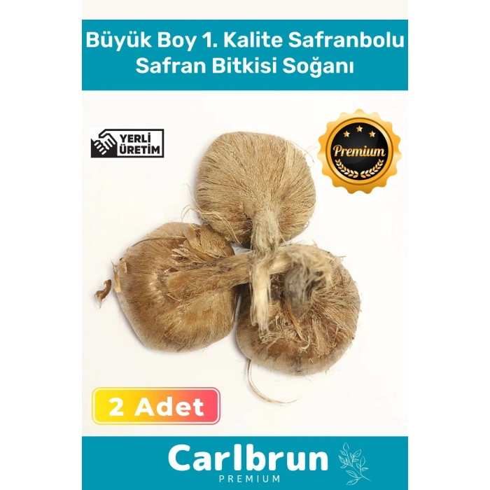 Premium Özel Dikime Hazır Yerli Üretim Büyük Boy 1. Kalite Safranbolu Safran Bitkisi Soğanı 2 Adet