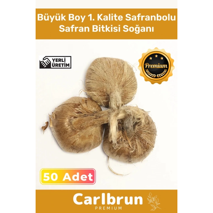 Premium Özel Dikime Hazır Yerli Üretim Büyük Boy 1. Kalite Safranbolu Safran Bitkisi Soğanı 50 Adet