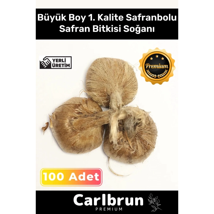 Premium Özel Dikime Hazır Yerli Üretim Büyük Boy 1. Kalite Safranbolu Safran Bitkisi Soğanı 100 Adet