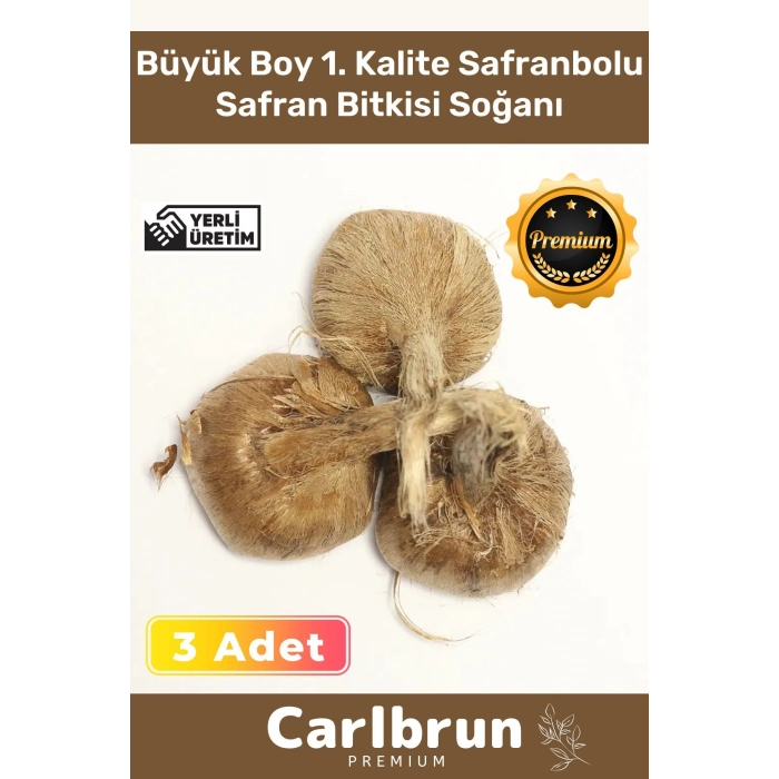 Premium Özel Dikime Hazır Yerli Üretim Büyük Boy 1. Kalite Safranbolu Safran Bitkisi Soğanı - 3 Adet