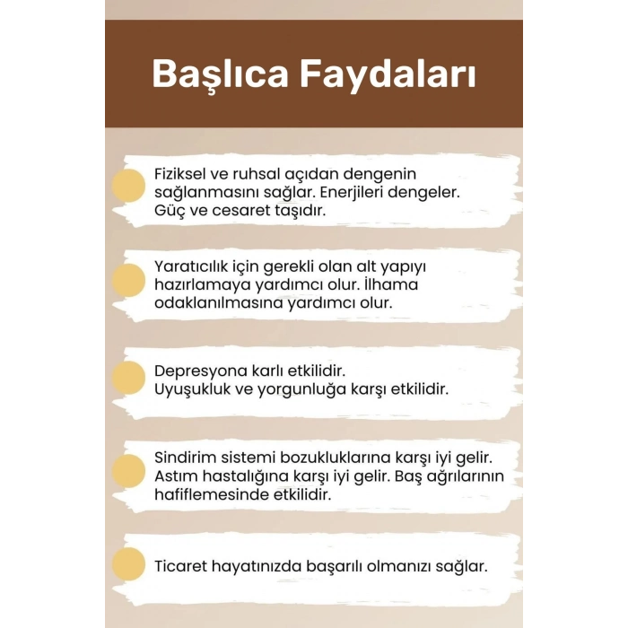 Premium Akrep Burcu Enerjisini Yükselten Doğal Taş Bileklik Akrep Burçları Burç Unisex Bileklik