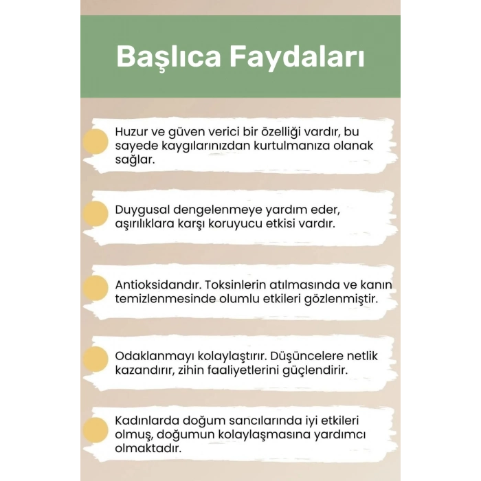 Premium Başak Burcu Enerjisini Yükselten Doğal Taş Bileklik Başak Burçları Burç Unisex Bileklik