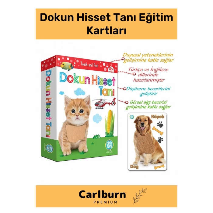 Özel Üretim Duyusal Gelişim Görsel Algı Eğlenceli Öğrenme Çocuk Dokun Hisset Tanı Eğitim Kartları