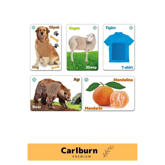 Özel Üretim Duyusal Gelişim Görsel Algı Eğlenceli Öğrenme Çocuk Dokun Hisset Tanı Eğitim Kartları